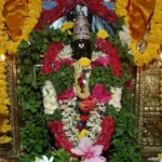 One-Day Special Seva